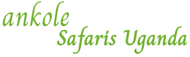 ankole Safaris Logo